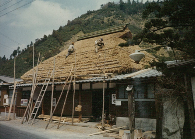 thatched roof